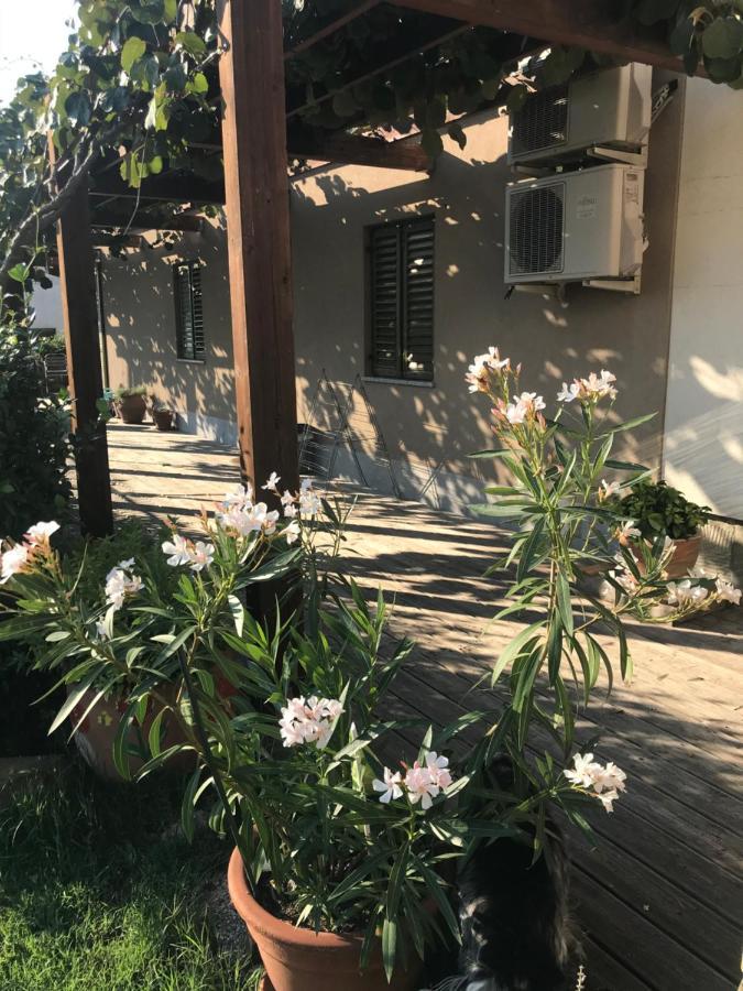 Istrska Hisa Centurium Villa Marezige Buitenkant foto