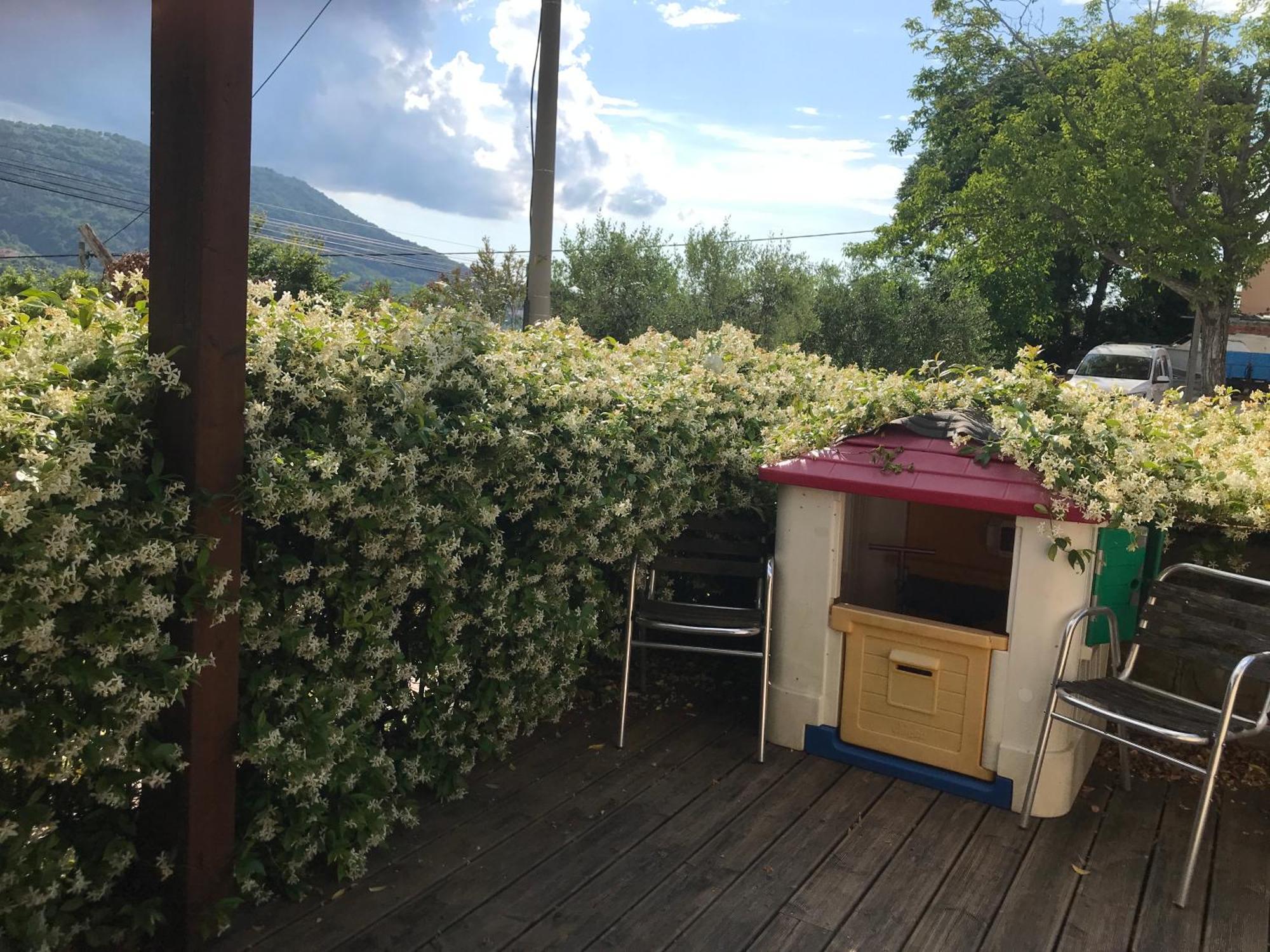 Istrska Hisa Centurium Villa Marezige Buitenkant foto