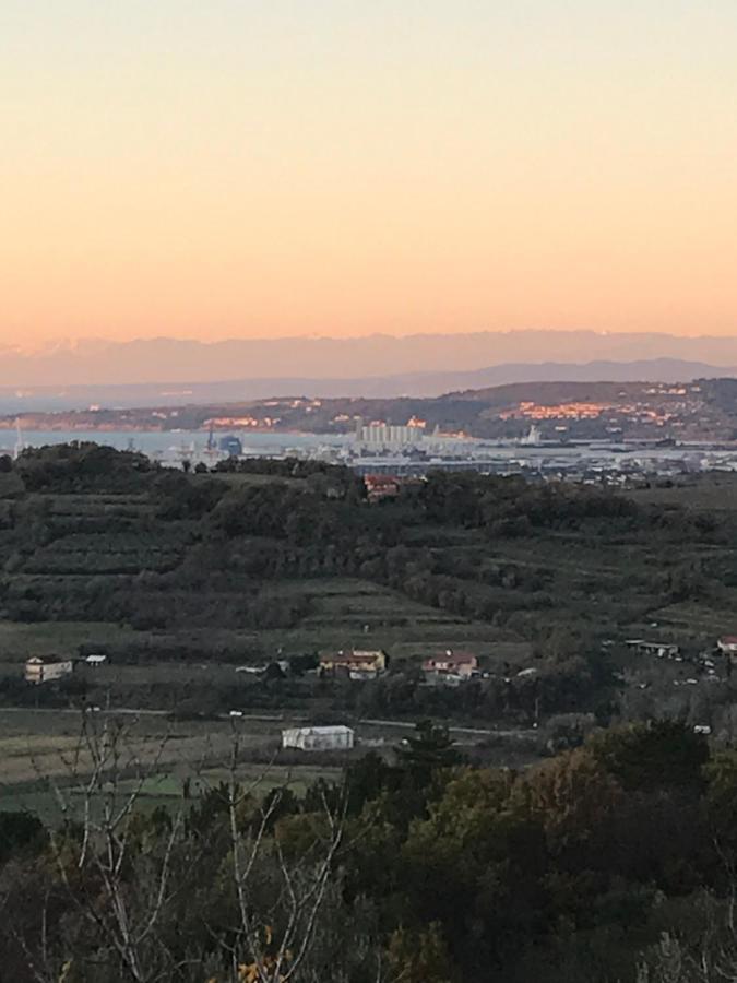 Istrska Hisa Centurium Villa Marezige Buitenkant foto