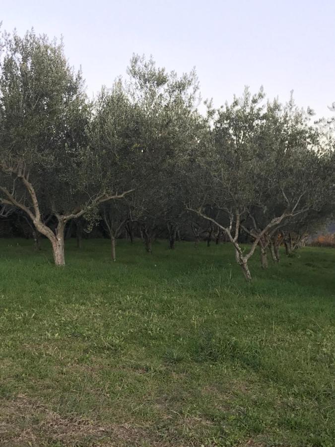 Istrska Hisa Centurium Villa Marezige Buitenkant foto